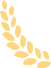 20240923041050589 图片