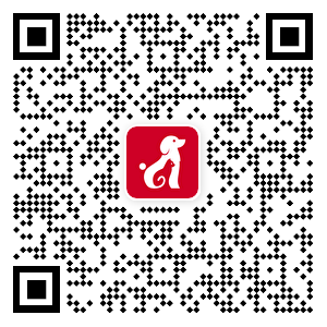 币赢- 安全支付工具|专业数字钱包平台